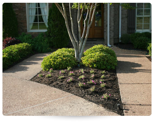 flower bed with fresh mulch and newly planted flowers