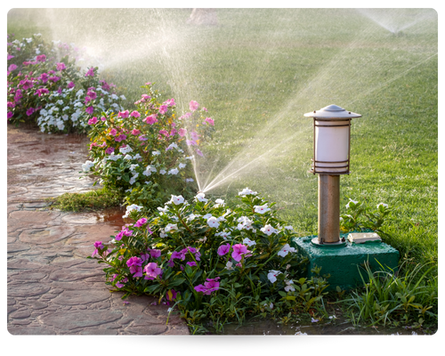 irrigation system